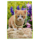 Recherche de chats cadeau emballages Pour enfants
