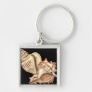 Zoek naar shells sleutelhangers Oceaan