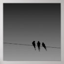 Recherche de oiseaux sur un fil posters Silhouette