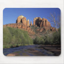 Recherche de rochers tapis souris Environnement