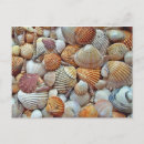 Recherche de fond marin cartes postales Océan