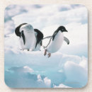 Zoek naar pinguin onderzetters Dier