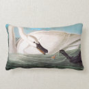 Zoek naar john kussens Granger