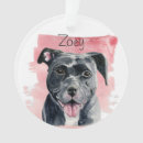 Recherche de bouledogue français ornements Mignon