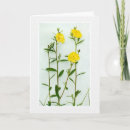 Recherche de le coquelicot vœux cartes Coquelicots