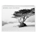 Recherche de photographies de nature Forêt