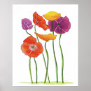 Zoek naar overvloed posters Papaver