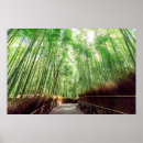 Recherche de arashiyama posters Japon