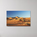 Zoek naar namib posters Horizontaal