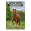 Recherche de poney porte blocs Animal