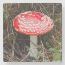 Recherche de taupe dessous de verres Botanique