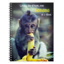 Recherche de singe bébé carnets Drôle