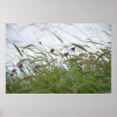 Zoek naar onkruid posters Natuur