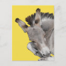 Recherche de âne cartes postales Gris