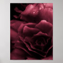 Zoek naar dubbel posters Bloemen