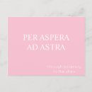 Recherche de sagesse cartes postales Rose