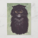 Recherche de persan chat cartes postales Perse