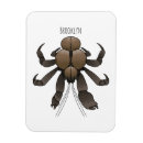 Recherche de crabes magnets Pour tous