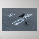 Zoek naar eksters posters Zwart