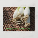 Recherche de crevette posters Repas