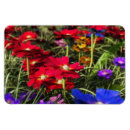 Recherche de de ressort magnets Bouquet