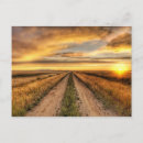 Recherche de route de campagne cartes postales Herbe