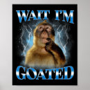 Zoek naar aap posters Uniek