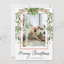 Recherche de gui noël cartes De photo