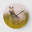 Zoek naar mosterd klokken Fotografie