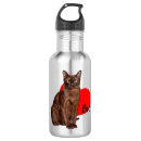 Recherche de moggy Chat