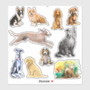 Recherche de chien de beagle autocollants Pour animaux