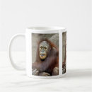 Recherche de orangs outans tasses Faune