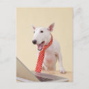 Recherche de ordinateur portable cartes postales Humour