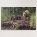 Zoek naar beer puzzels Dieren in het wild