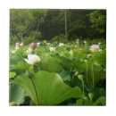 Recherche de lotus carreaux Jardin