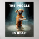 Recherche de bouton posters Animal