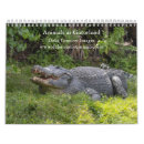 Recherche de alligators bureau fournitures Faune