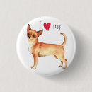 Recherche de chiwawa badges Chien