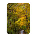 Recherche de gravier vœux cartes Forêt