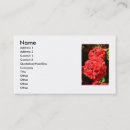 Recherche de buisson cartes visite Flore