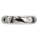 Zoek naar walvis skateboards Zee