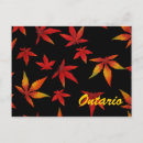 Recherche de ontario cartes postales Automne
