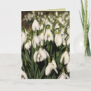 Recherche de ampoules vœux cartes Pour tous