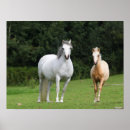 Recherche de foies posters Animal