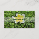 Recherche de plume blanche cartes visite Tropical