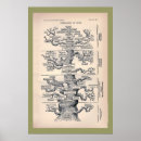 Zoek naar evolutie boom posters Biologie