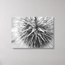 Recherche de fleurs noires et blanches toiles Photographie