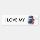 Recherche de chien berger voiture autocollants Allemand