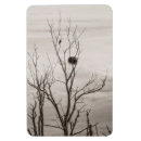Recherche de attente magnets Nature