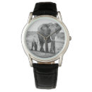 Recherche de kenya accessoires Veau d'éléphant